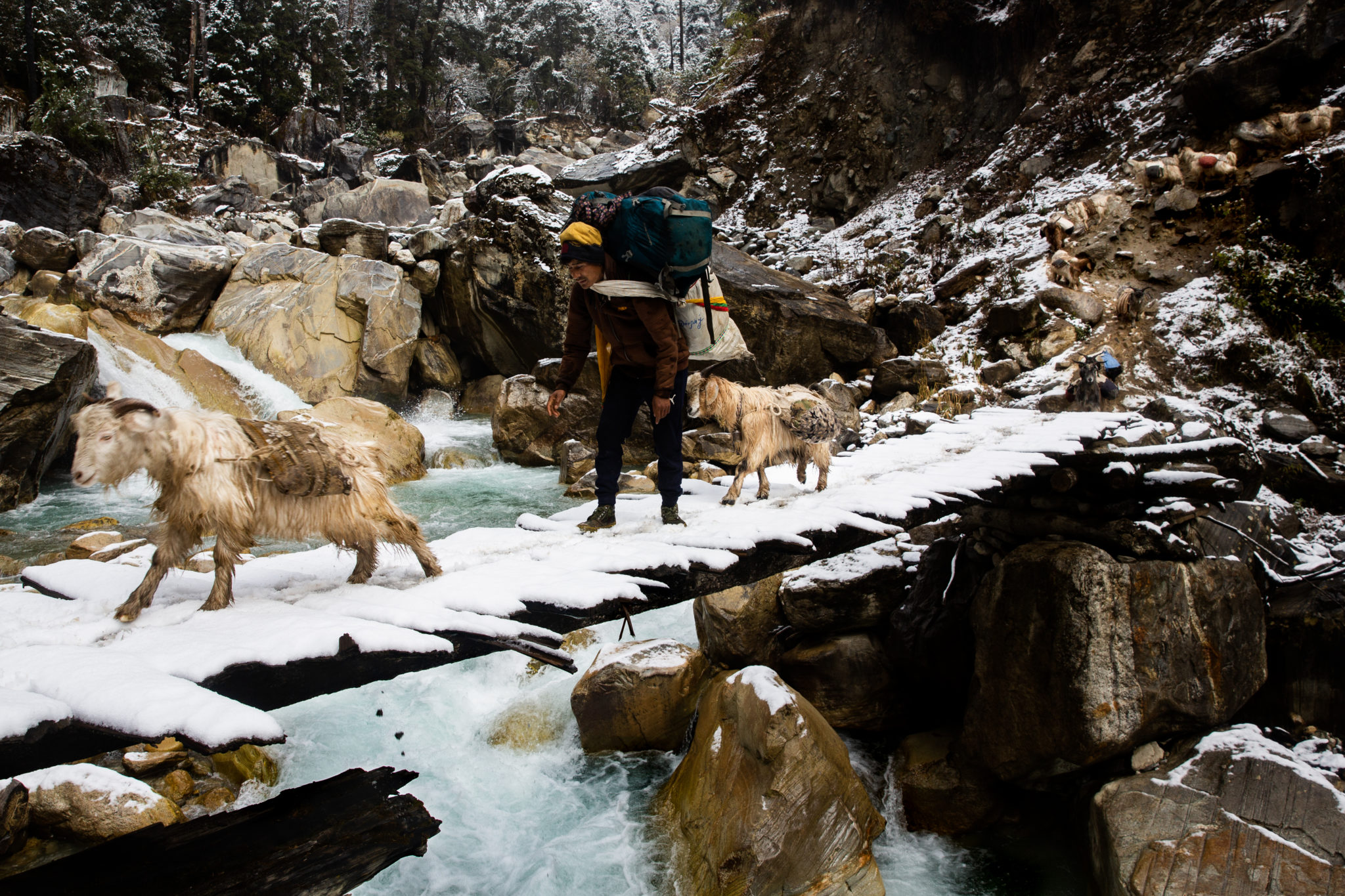 Eric Valli Michele Filomeno